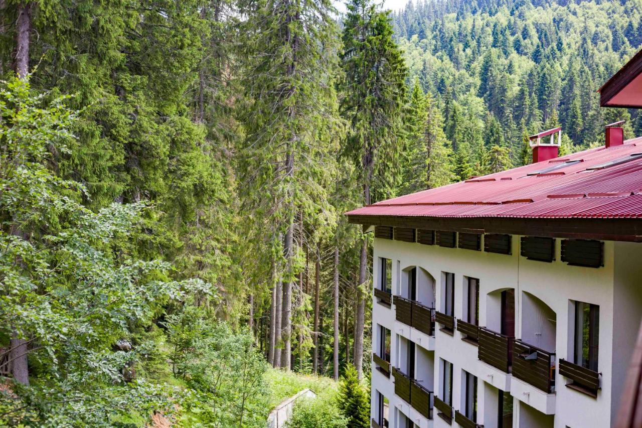 Forest Dream Apartment - Elit Pamporowo Zewnętrze zdjęcie