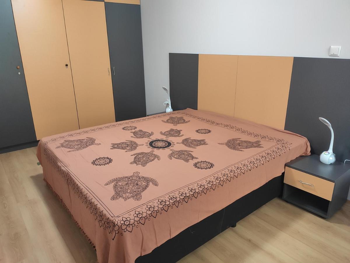 Forest Dream Apartment - Elit Pamporowo Zewnętrze zdjęcie