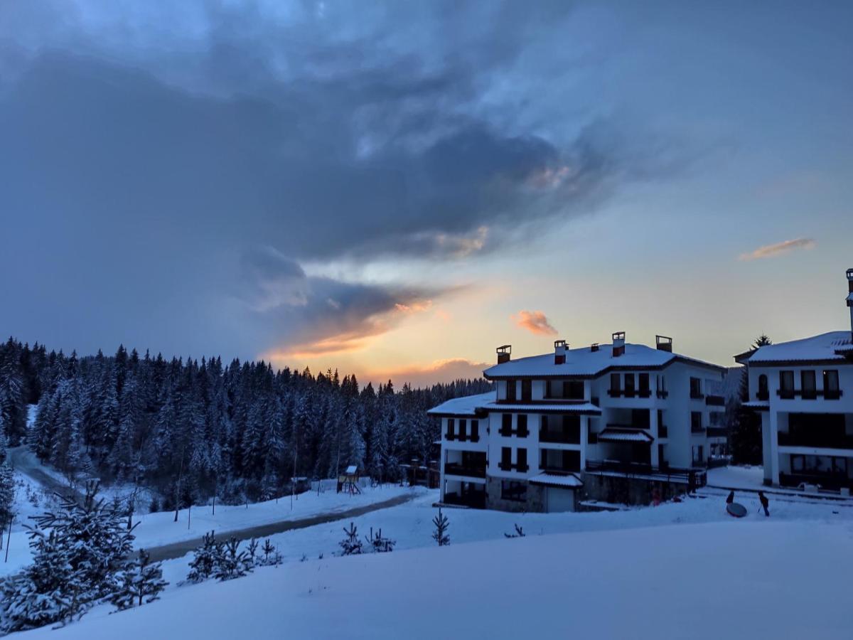 Forest Dream Apartment - Elit Pamporowo Zewnętrze zdjęcie