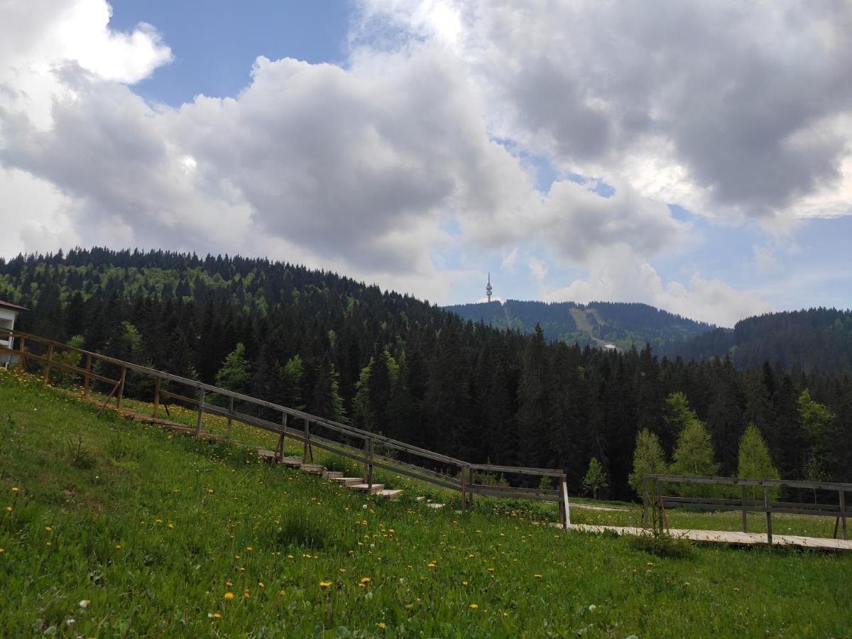 Forest Dream Apartment - Elit Pamporowo Zewnętrze zdjęcie