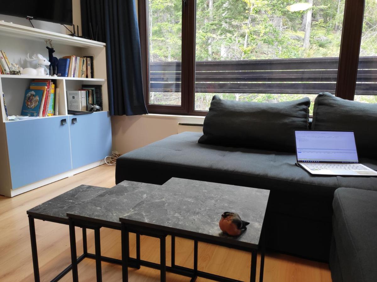 Forest Dream Apartment - Elit Pamporowo Zewnętrze zdjęcie