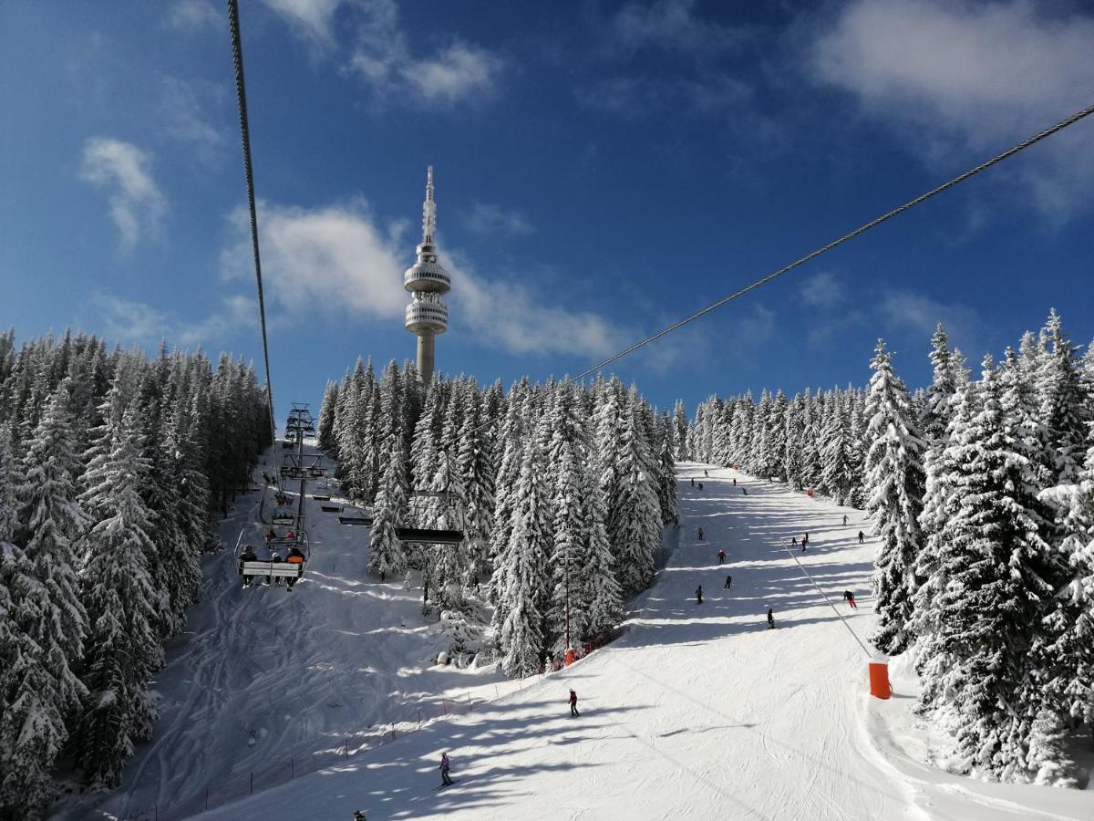 Forest Dream Apartment - Elit Pamporowo Zewnętrze zdjęcie